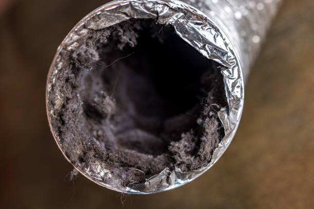 Professional Airduct Cleaning in Cayce, SC